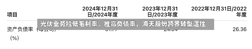 光伏业务拉低毛利率	、推高负债率，海天股份跨界转型遇挫-第2张图片