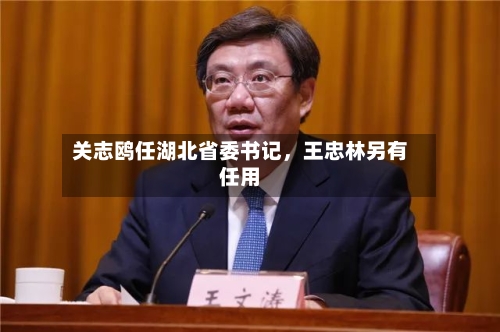 关志鸥任湖北省委书记，王忠林另有任用-第2张图片