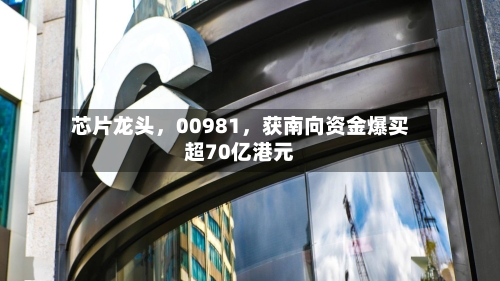 芯片龙头，00981，获南向资金爆买超70亿港元-第3张图片