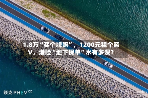 1.8万“买个牌照	”	，1200元租个蓝V，港险“地下保单”水有多深？-第3张图片