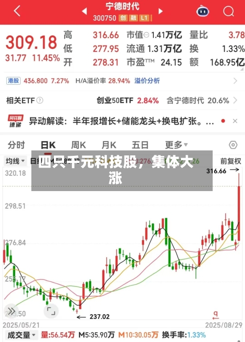 四只千元科技股，集体大涨-第3张图片