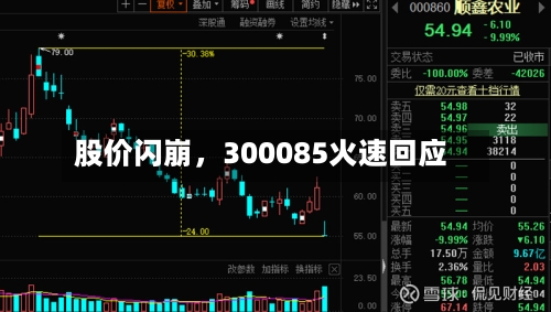 股价闪崩，300085火速回应-第2张图片