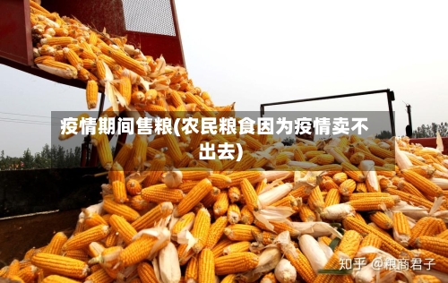 疫情期间售粮(农民粮食因为疫情卖不出去)