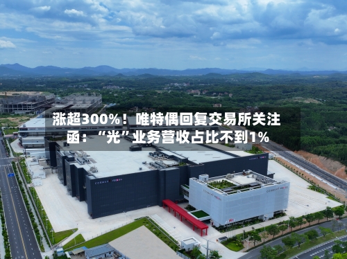 涨超300%！唯特偶回复交易所关注函：“光”业务营收占比不到1%-第3张图片