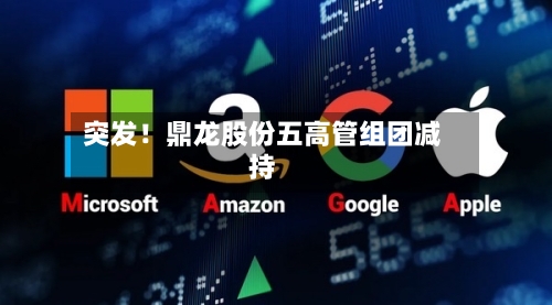 突发！鼎龙股份五高管组团减持-第2张图片