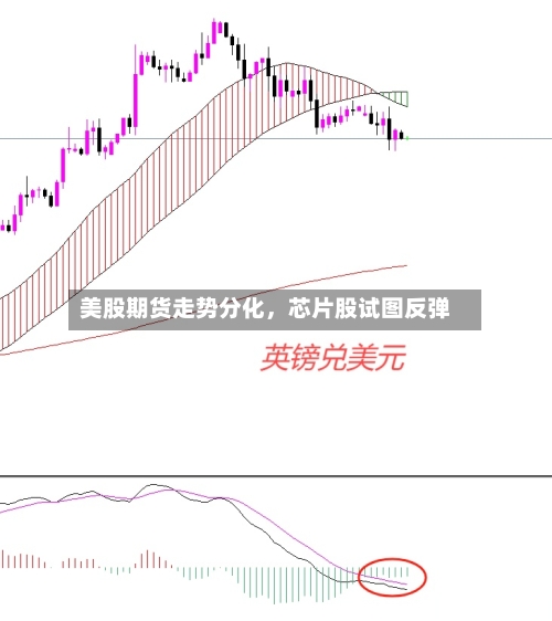 美股期货走势分化	，芯片股试图反弹-第2张图片