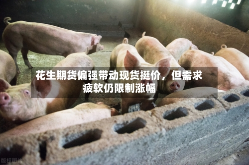 花生期货偏强带动现货挺价，但需求疲软仍限制涨幅-第2张图片