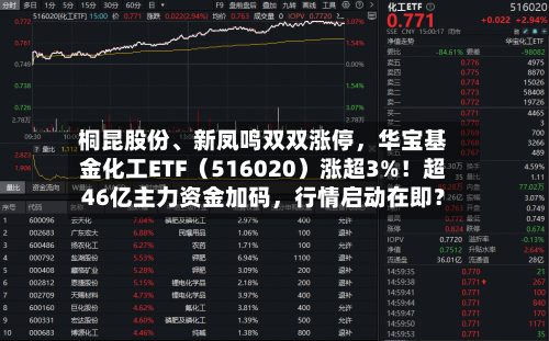 桐昆股份	、新凤鸣双双涨停，华宝基金化工ETF（516020）涨超3%！超46亿主力资金加码，行情启动在即？-第2张图片