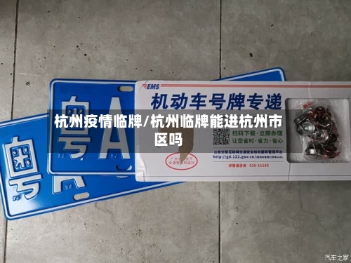 杭州疫情临牌/杭州临牌能进杭州市区吗-第3张图片
