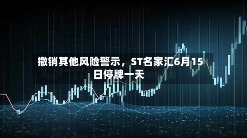 撤销其他风险警示，ST名家汇6月15日停牌一天-第2张图片