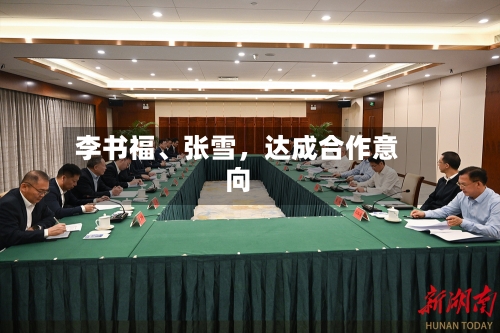 李书福	、张雪，达成合作意向-第2张图片