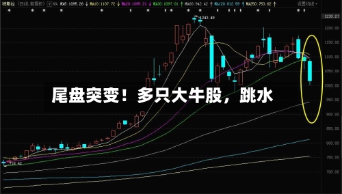尾盘突变！多只大牛股	，跳水-第2张图片