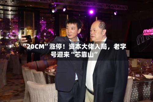 “20CM	”涨停！资本大佬入局，老字号迎来“芯靠山”-第2张图片