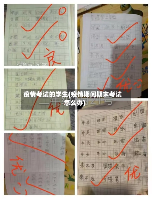疫情考试的学生(疫情期间期末考试怎么办)