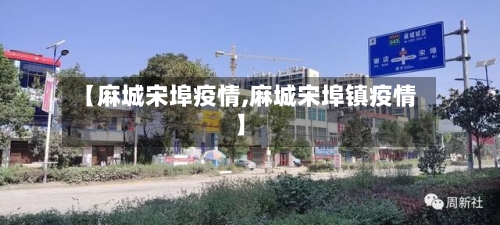 【麻城宋埠疫情,麻城宋埠镇疫情】-第3张图片