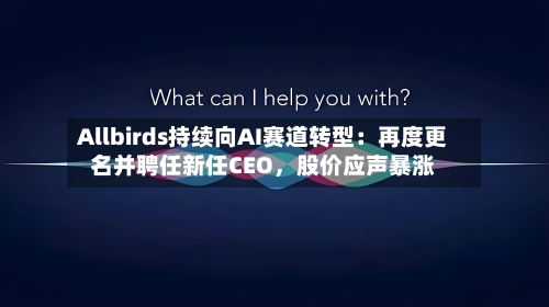 Allbirds持续向AI赛道转型：再度更名并聘任新任CEO，股价应声暴涨-第2张图片