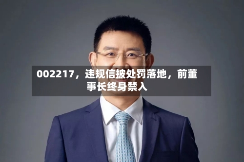 002217	，违规信披处罚落地，前董事长终身禁入-第2张图片