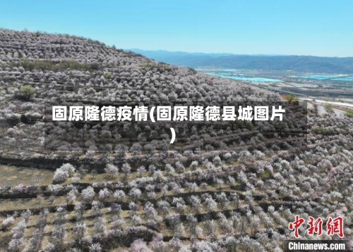 固原隆德疫情(固原隆德县城图片)-第2张图片