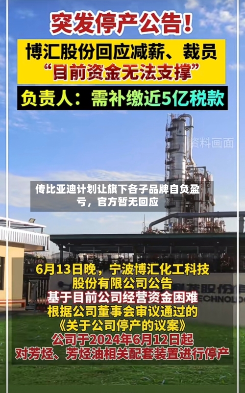 传比亚迪计划让旗下各子品牌自负盈亏，官方暂无回应-第2张图片