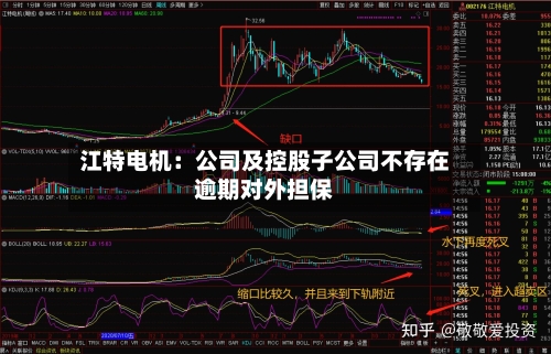 江特电机：公司及控股子公司不存在逾期对外担保