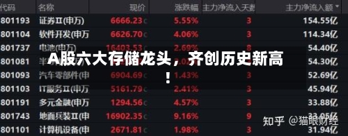 A股六大存储龙头，齐创历史新高！-第3张图片