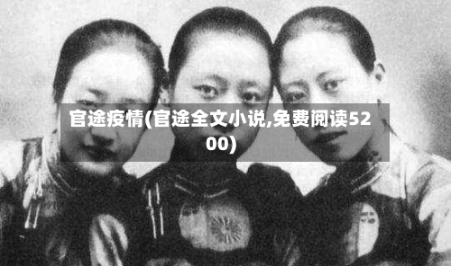 官途疫情(官途全文小说,免费阅读5200)-第2张图片