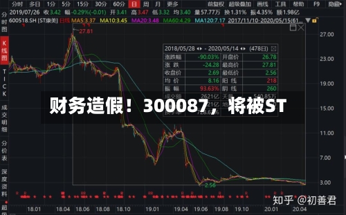 财务造假！300087，将被ST-第2张图片