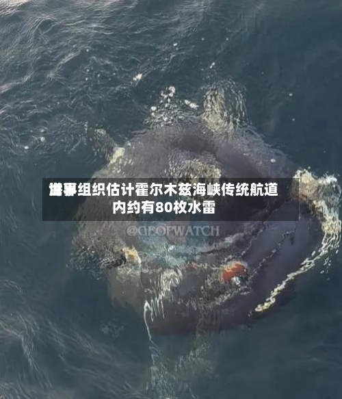 世界海事组织估计霍尔木兹海峡传统航道内约有80枚水雷-第2张图片
