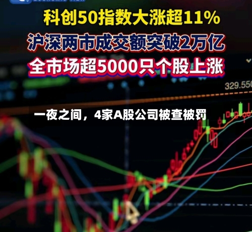 一夜之间，4家A股公司被查被罚-第3张图片