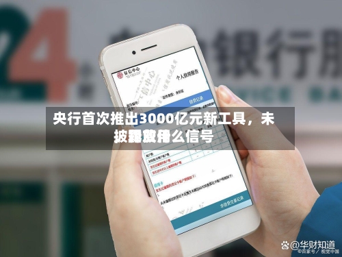 央行首次推出3000亿元新工具，未披露费用，释放什么信号-第2张图片