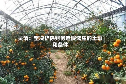 吴清：坚决铲除财务造假滋生的土壤和条件-第3张图片