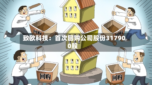 致欧科技：首次回购公司股份317900股-第2张图片