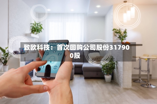 致欧科技：首次回购公司股份317900股-第3张图片