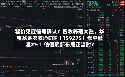 猪价见底信号确认？畜牧养殖大涨，华宝基金农牧渔ETF（159275）盘中涨超2%！估值底部布局正当时？-第2张图片