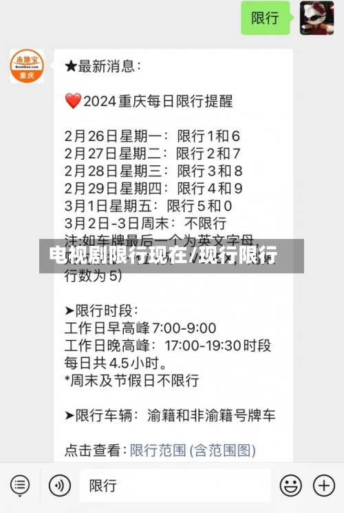 电视剧限行现在/现行限行-第2张图片