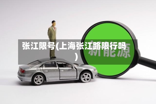 张江限号(上海张江路限行吗)-第3张图片
