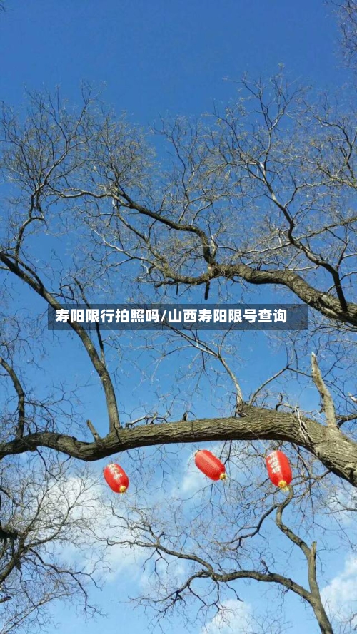 寿阳限行拍照吗/山西寿阳限号查询