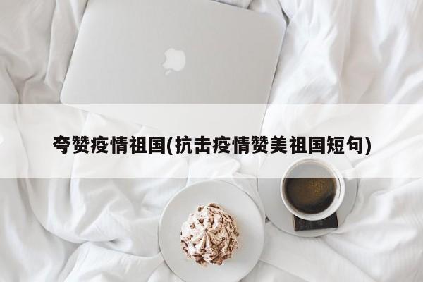 夸赞疫情祖国(抗击疫情赞美祖国短句)