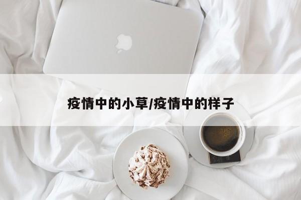 疫情中的小草/疫情中的样子