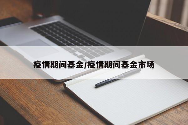 疫情期间基金/疫情期间基金市场