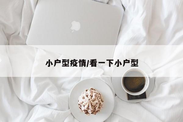 小户型疫情/看一下小户型